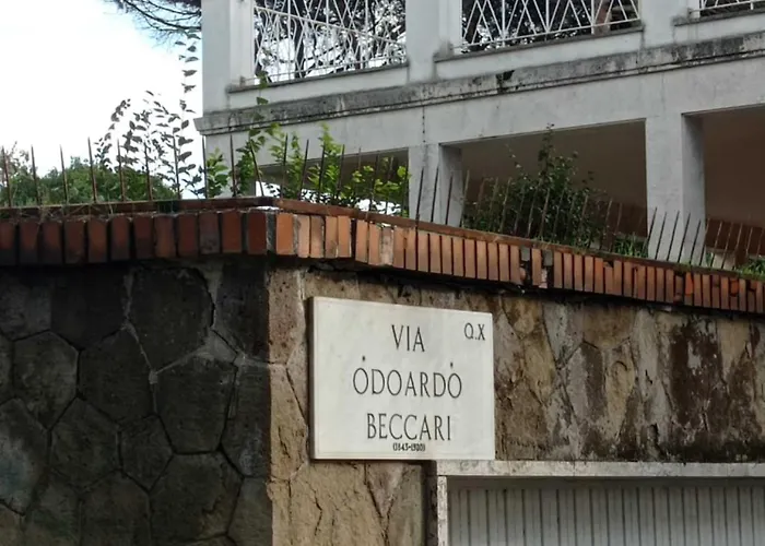 Boutique Maximus *